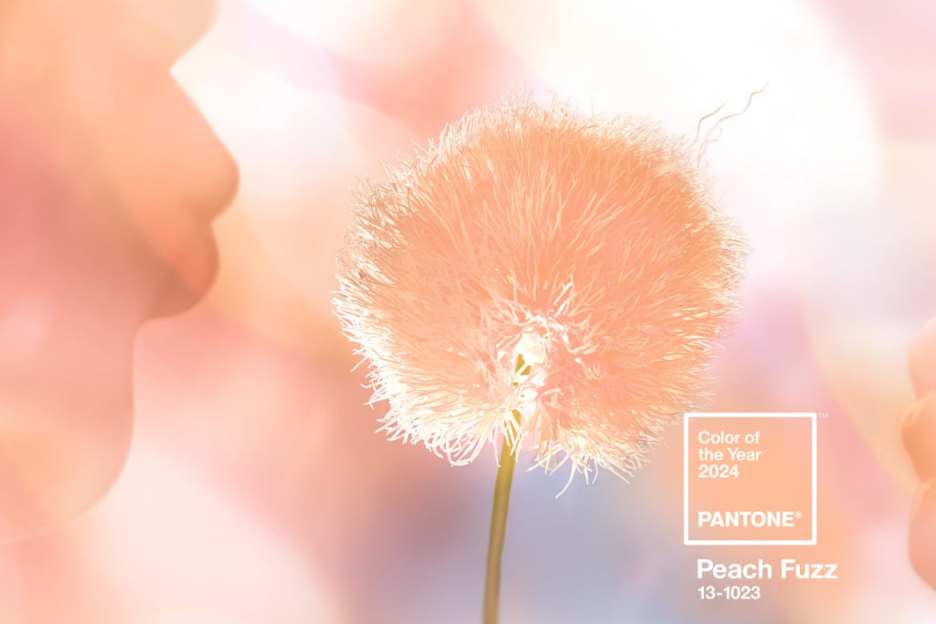 Az év színe 2024: PANTONE 13-1023 Peach Fuzz